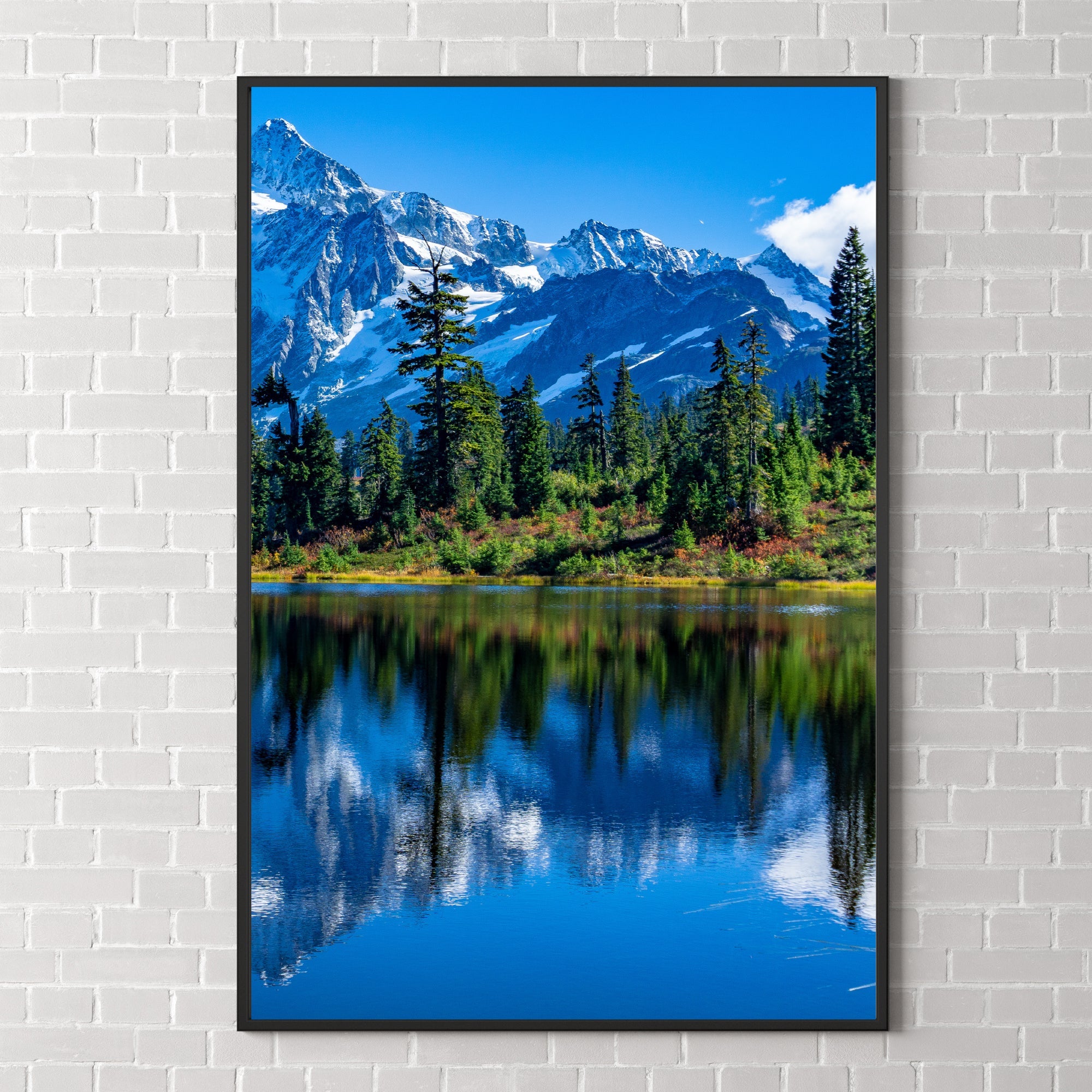 Premium Posters & Enlargements